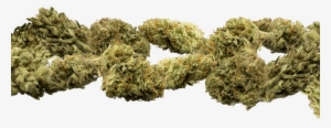 Of Marijuana Buds Group Buds Group Buds Group - Medical Cannabis