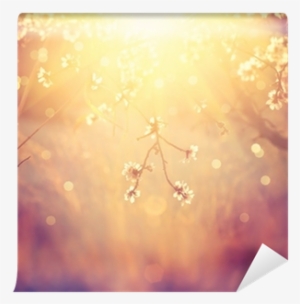 Beautiful Nature Scene With Blooming Tree And Sun Flare - Dayspring Card Thank You