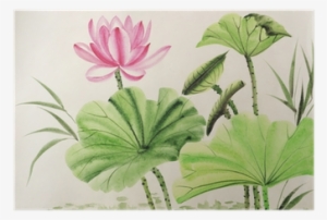 Watercolor Painting Of Pink Lotus Flower Poster • Pixers®