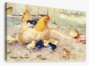 Vintage Greeting Card With Illustration Of Hen And - Supplier Generic Vintage Greeting Card With Illustration