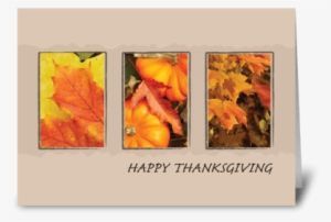 2801 Three Leave Thanksgiving Greeting Card - Thanksgiving With Fall Foliage And Pumpkins Card