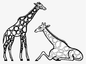 Cute - Giraffe Images For Colouring