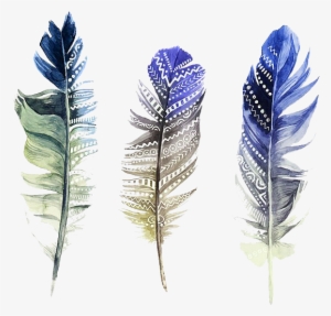 Feather Watercolor Painting Illustration - Watercolor Feather