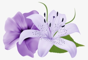 Purple Two Exotic Flowers Png Clipart Image - Mauve Purple Flower Png