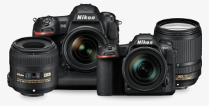 Nikon D5 Vs D3400