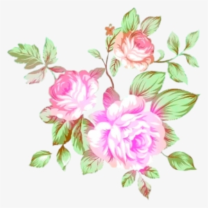 Flower Prints - Rosa Glauca