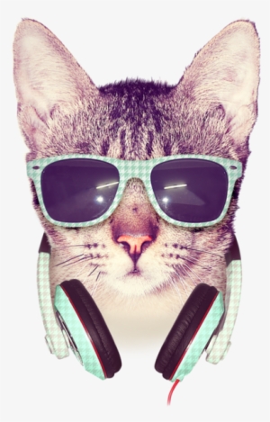Transparent Images Pluspng Cat - Cat - Hipster Cat T Shirt & Hoodie