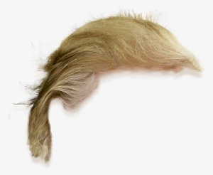 Donald Trump Hair Png Transparent