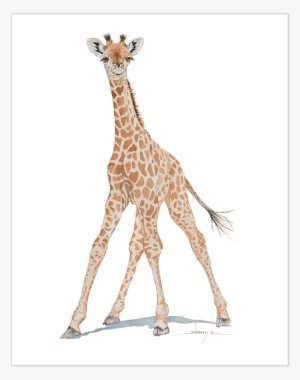 Baby Giraffe Wall Art - Art
