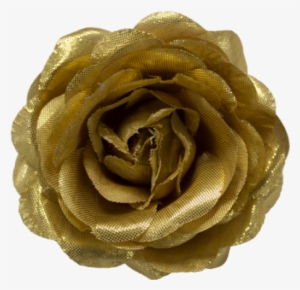 A460-gold - Garden Roses