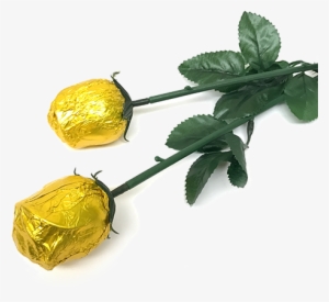 Gold Foiled Belgian Chocolate Color Splash Roses For - Belgian Chocolate