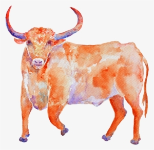 The Taurus Bull, Just Like Every Other Zodiac Sign, - Zazzle Aquarell-stier Stier Iphone 8/7 Hülle