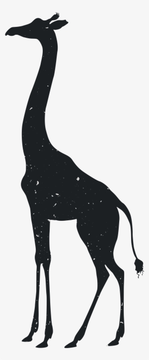 Giraffe Tiger Silhouette Animal Drawing - Transparent Giraffe Silhouette