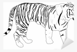 Stripped Tiger Silhouette Isolated On White Sticker - Tiger