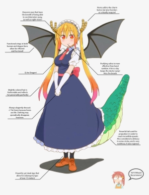 Let's Take A Look At Some Of Her Physical Attributes - Dragon Wings Tohru Dragon Maid
