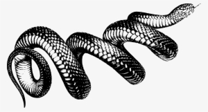 This Free Icons Png Design Of Coiled Snake