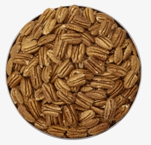 Raw Fancy Mammoth Pecan Halves