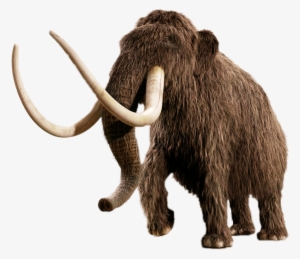 Mammoth - Woolly Mammoth No Background