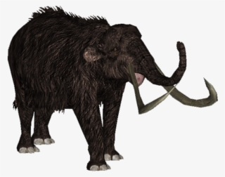 Woolly Mammoth - Zt2 Download Library Wiki Mammoth