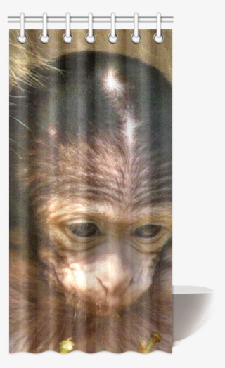 Sweet Baby Monkey Shower Curtain - Orangutan