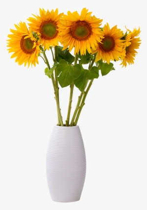 Voiceover Artist - Sunflower In Vase Png