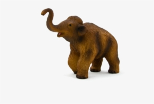 Woolly Mammoth Calf - Woolly Mammoth With Calf