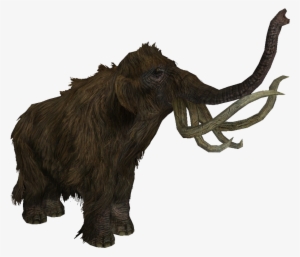 Mammoth - Skyrim Wiki - Skyrim Mammoth Png