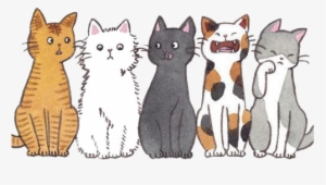Comment On Which One You Would Be - Cats Tumblr Transparent