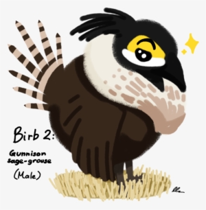 Jpg Royalty Free Library Birb Drawing Adorable Bird - Accipitriformes