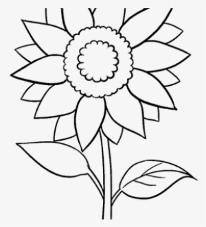Vector Transparent Stock Berries Drawing Simple - Sun Flower Black And White