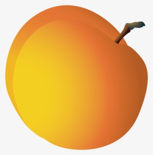 Jpg Transparent Orange Grapefruit Pomelo Cartoon Transprent - Vector Graphics