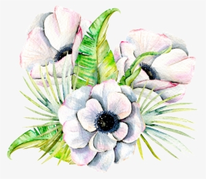 Hand Painted Three Elegant Flowers Png Transparent - Flower