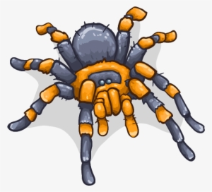 Tarantula - Drawing