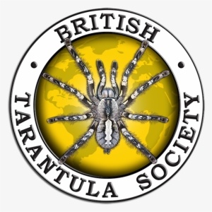 Bts Int Final - British Tarantula Society