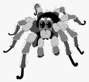 Tarantula - Cartoon