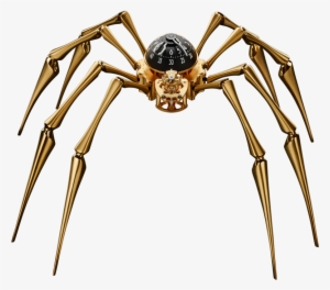 Telling The Time With Two Hands And Eight Legs - Clock Spider