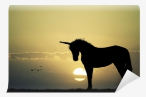 Silhouette