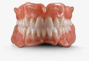 Browse The Largest Selection Of Denture Teeth Available - Dental Laboratory