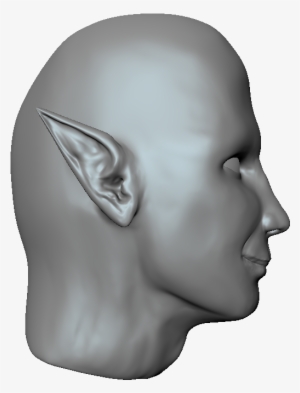 Update - - Bust