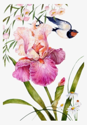 Iris - Watercolor Painting