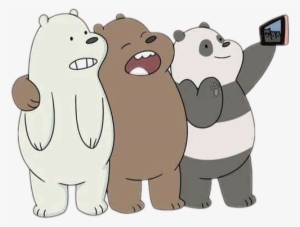 Oso Panda Oso Pardo Y Oso Polar