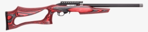 Discover - Ruger 10 22