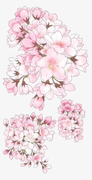 Pink Addiction - Cherry Blossom Pixiv
