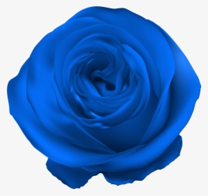 Blue Rose Png Clip Art - Rosas Violetas Png