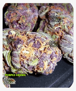Yellow And Purple Weed