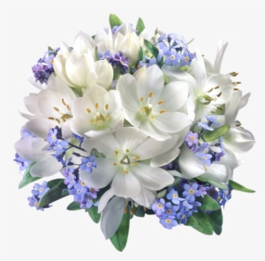 0, - White And Blue Flowers Png
