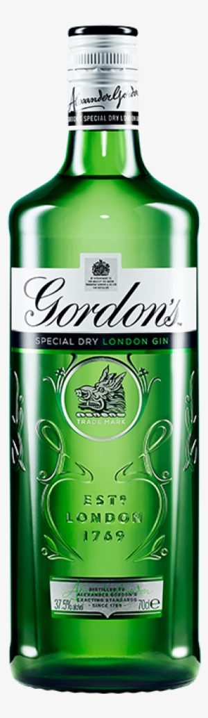 gb bottle - gordons gin