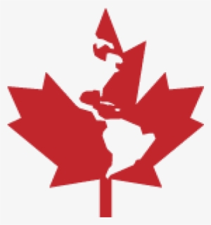 Canadian Maple Leaf No Background