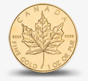 Canadian Gold Maple - Canadian Gold Maple Leaf