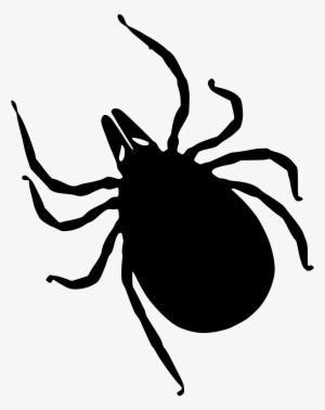 Tick Png Image With - Tick Silhouette